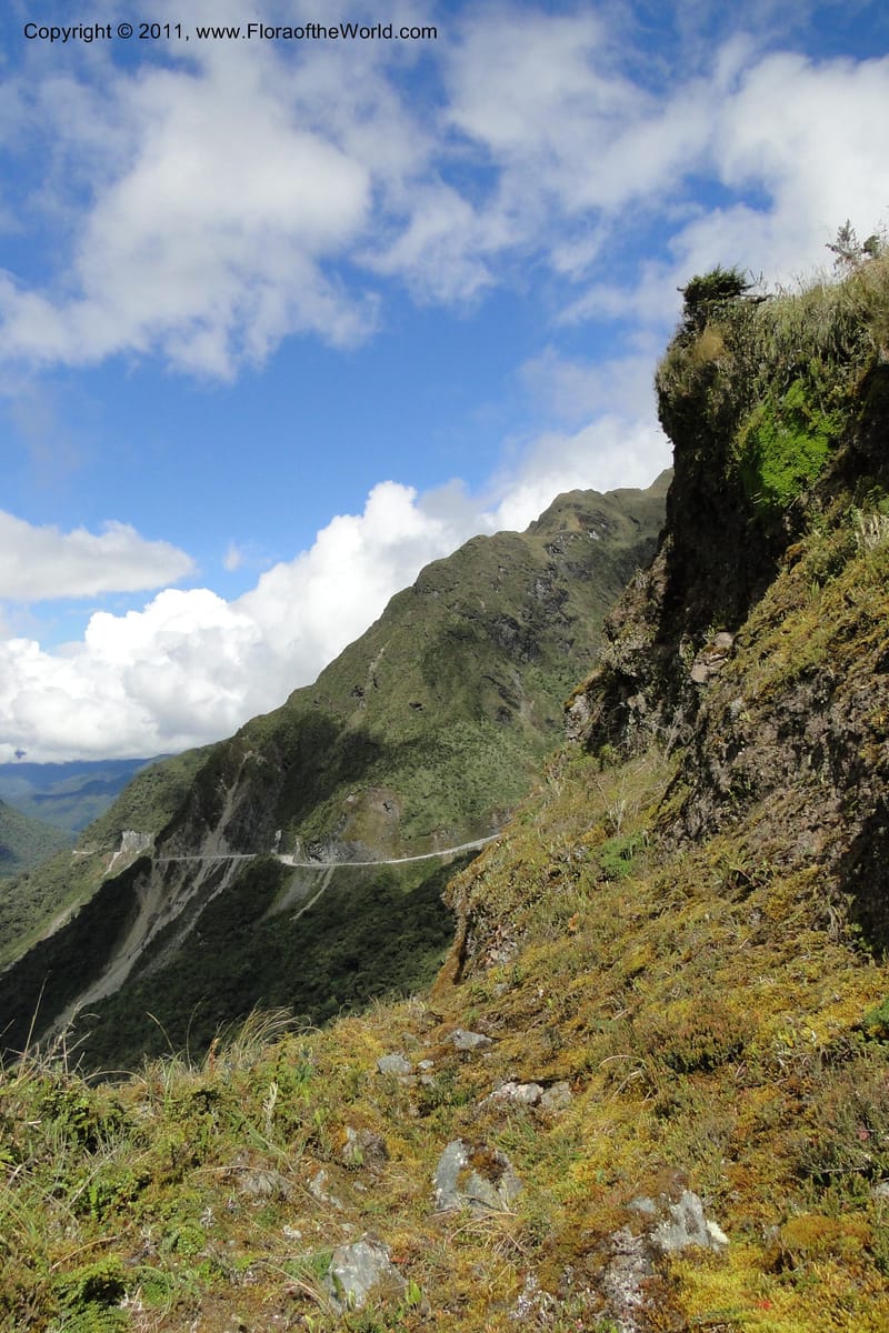 Ecuador. P. N. Sangay. 6 June 2011. 378.jpg