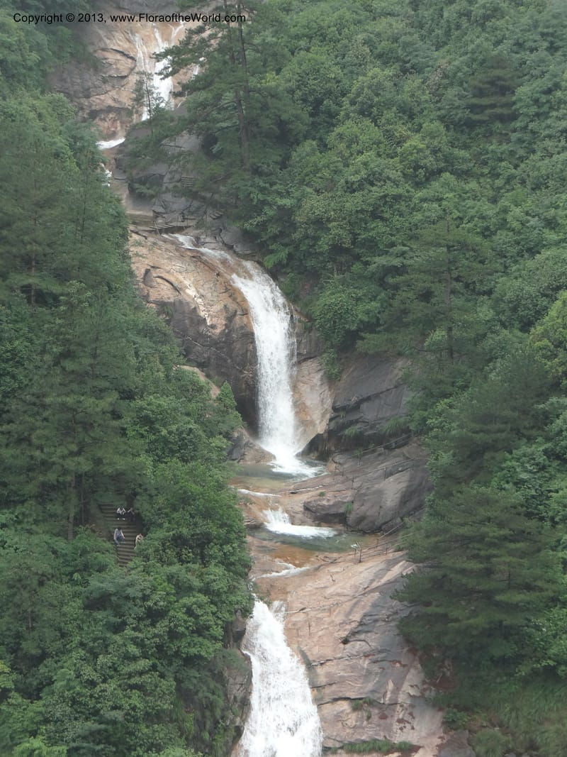 China. Anhui Prov. Huang Shan. 6 Jun 2012. DSC01928 (94).JPG