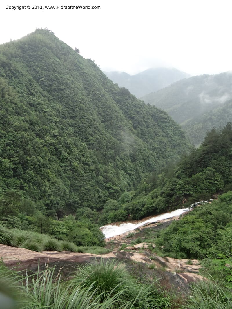 China. Anhui Prov. Huang Shan. 6 Jun 2012. DSC01929 (39).JPG