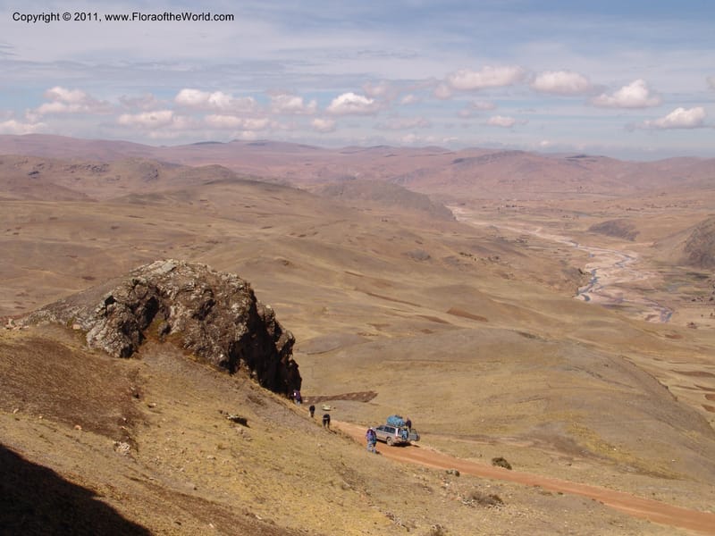 Bolivia.  Prov.B.Saavedra. Charazani to La Paz. 20 Sep 06. 053.jpg