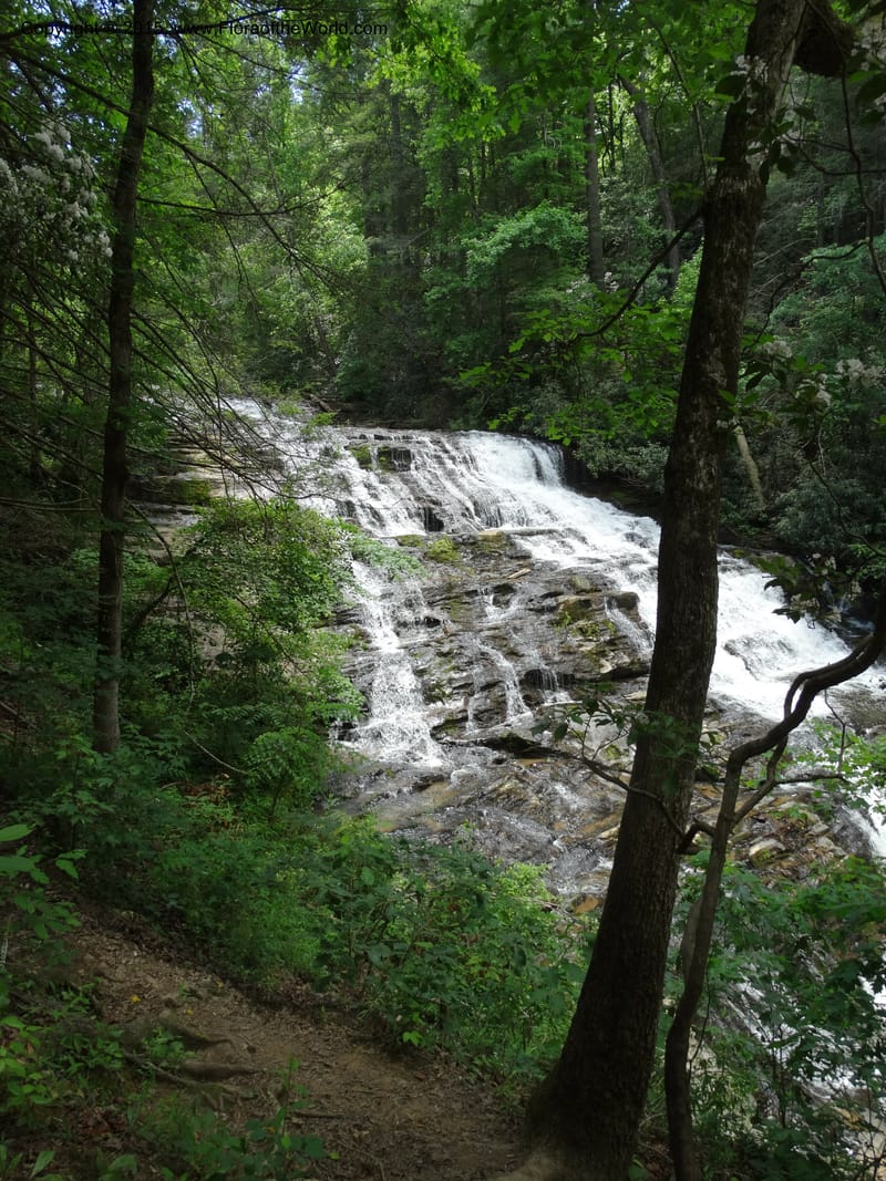 South Carolina. Oconee Co. Brasstown Cr. 19 May 2015. DSC06413 (180).JPG
