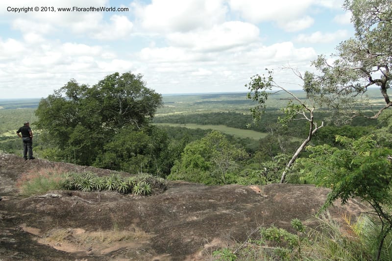 Paraguay. Edo. Concepcion. Garay Cue. 19 Mar 2011. 501.jpg