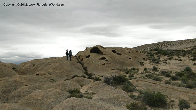 Idaho. 22 April 2010 116.jpg