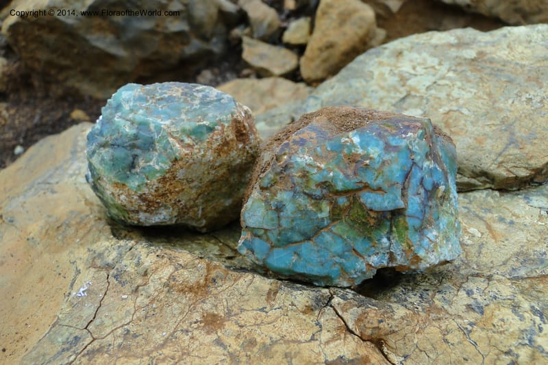 New Caledonia. Mine St. Louis Boulinda. 18 Feb 2011. 174.jpg