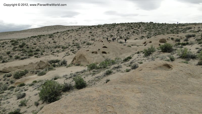 Idaho. 22 April 2010 109.jpg