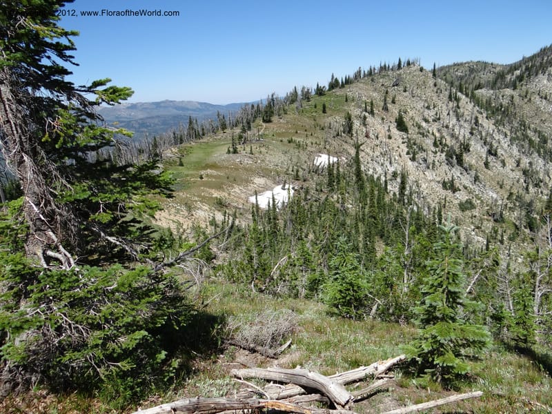 ID. Idaho Co. Josephine Lake. 1 Aug 2012. DSC03965 (55).JPG