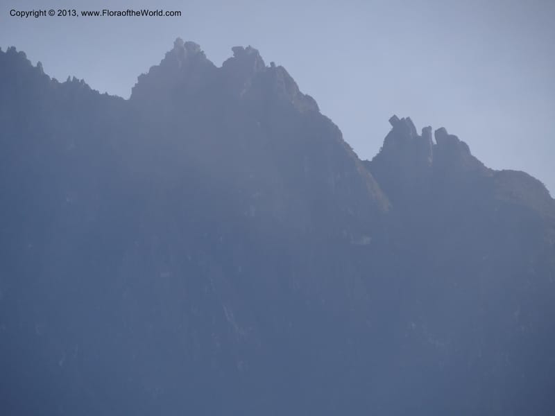 Mt. Kinabalu from Kg. Kundassong. 5 April 2012. DSC06757 (4).JPG