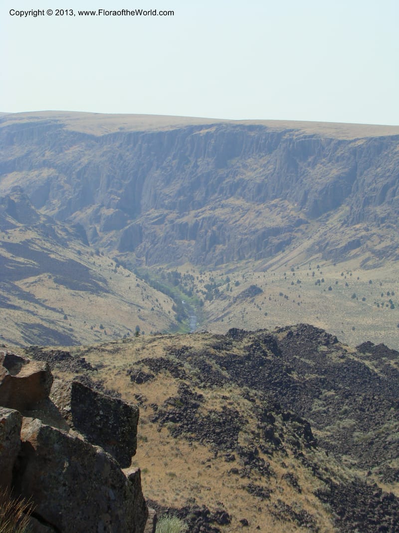 OR. Malheur Co. Rd to Three Forks. 16 Jul 08. 003.jpg