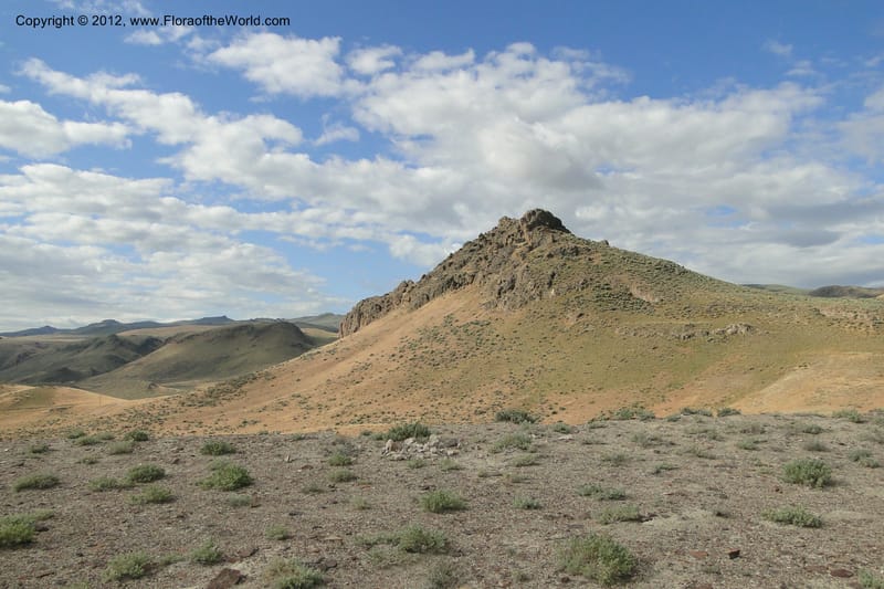 Idaho. Owyhee Co. 30 June 2011. 074 (44).jpg