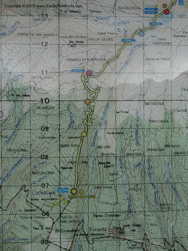 Ecuador. Mojanda. 22 Apr 2015. DSC02267 (110).JPG