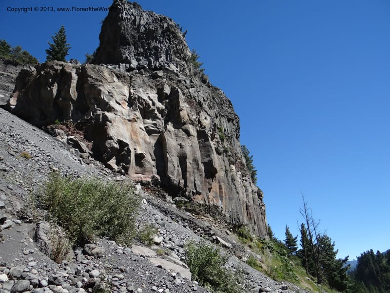 Chile. Antuco. 18 Feb 2013. DSC01634 (4).JPG