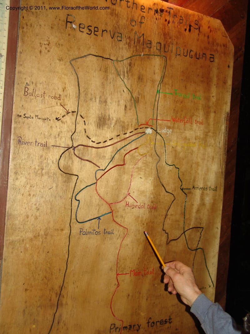 Trail map--Ecuador. Maquipucuna Biol. Res.  13 Mar 06. 005.jpg