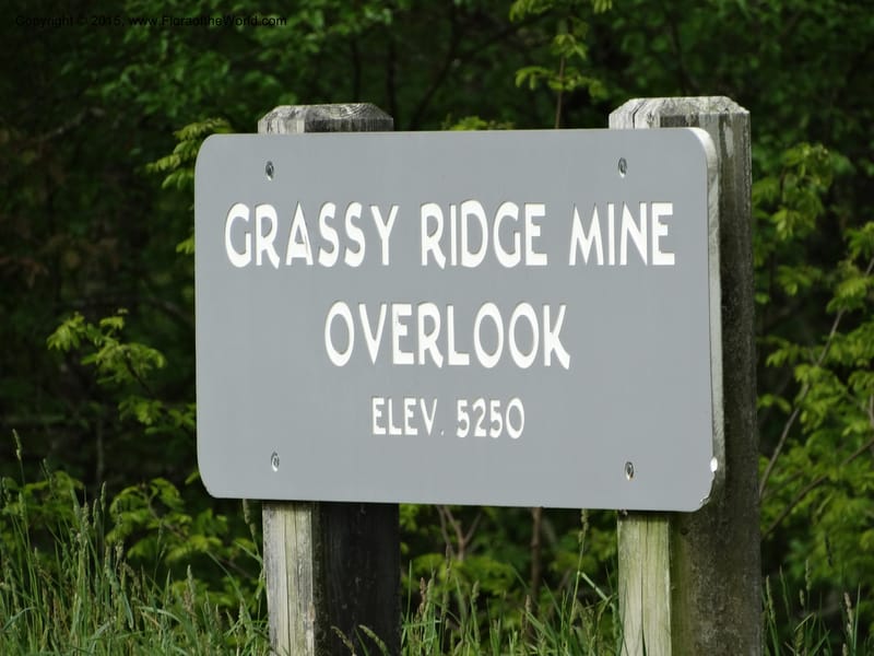North Carolina. Haywood Co. Grassy Ridge Mine Overlook. 21 May 2015. DSC06988 (2).JPG