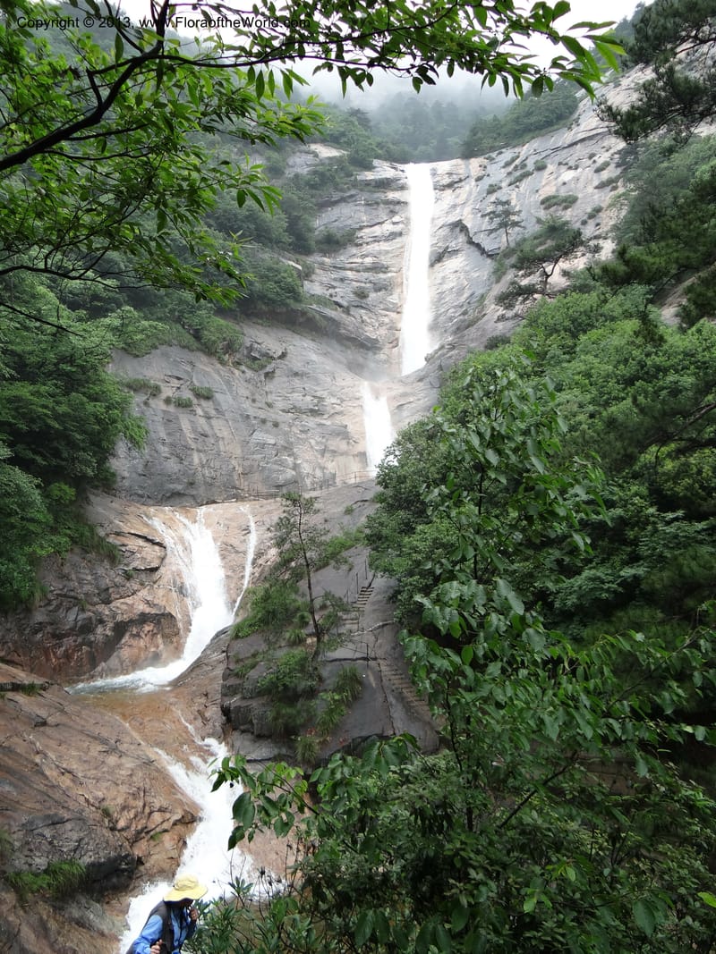 China. Anhui Prov. Huang Shan. 6 Jun 2012. DSC01929 (72).JPG