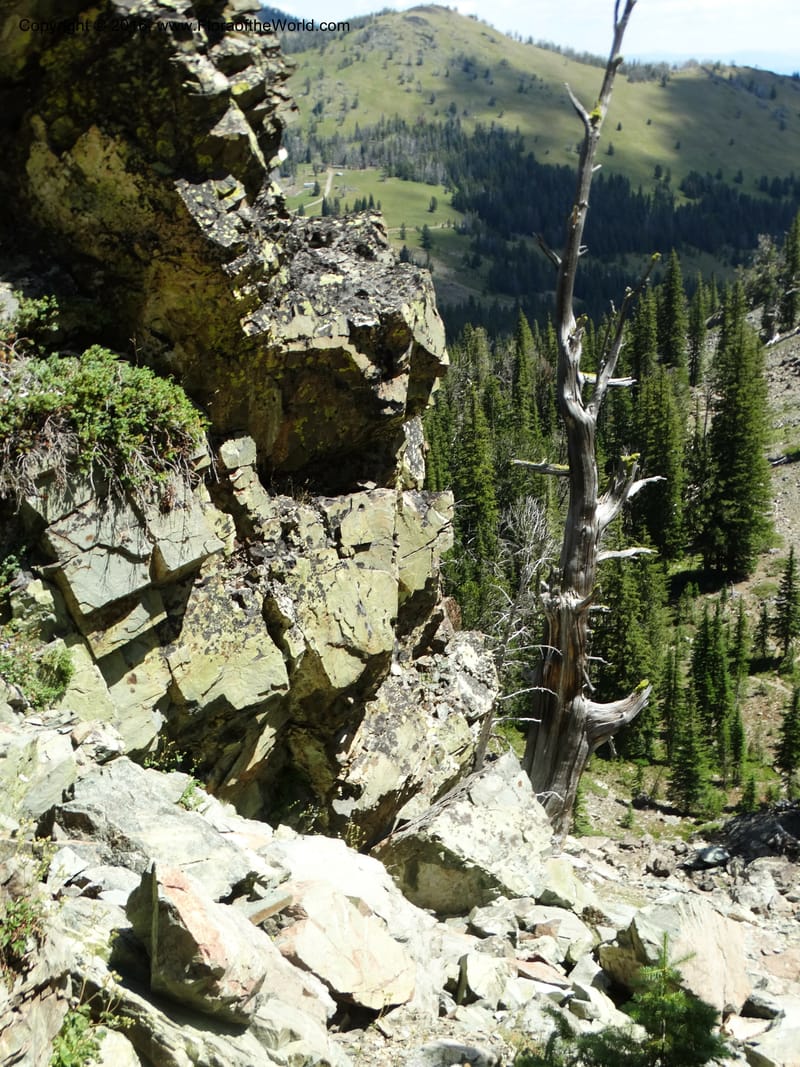 ID. Idaho Co. Seven Devils Mtns. 20 Jul 2015. DSC07745 (99).JPG