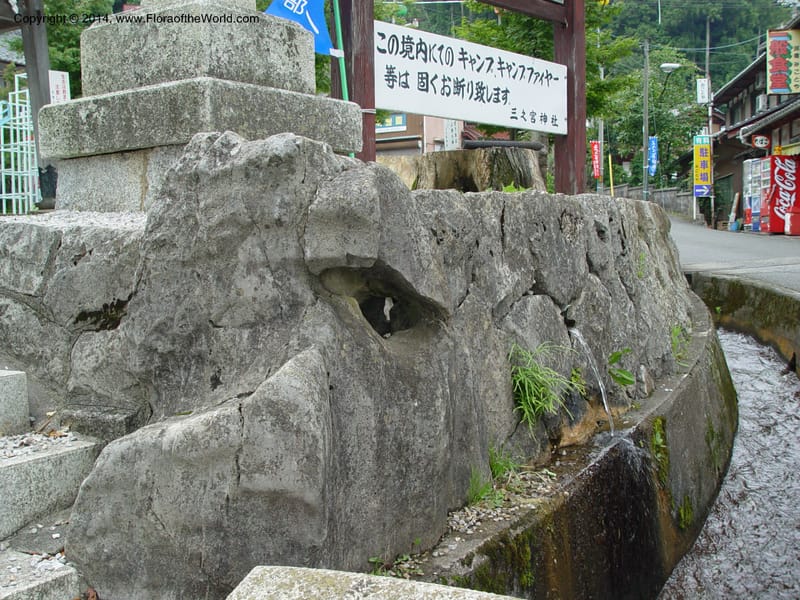 Japan. Temple in Ibuki-cho.  CD18 Jul 03. 003.jpg