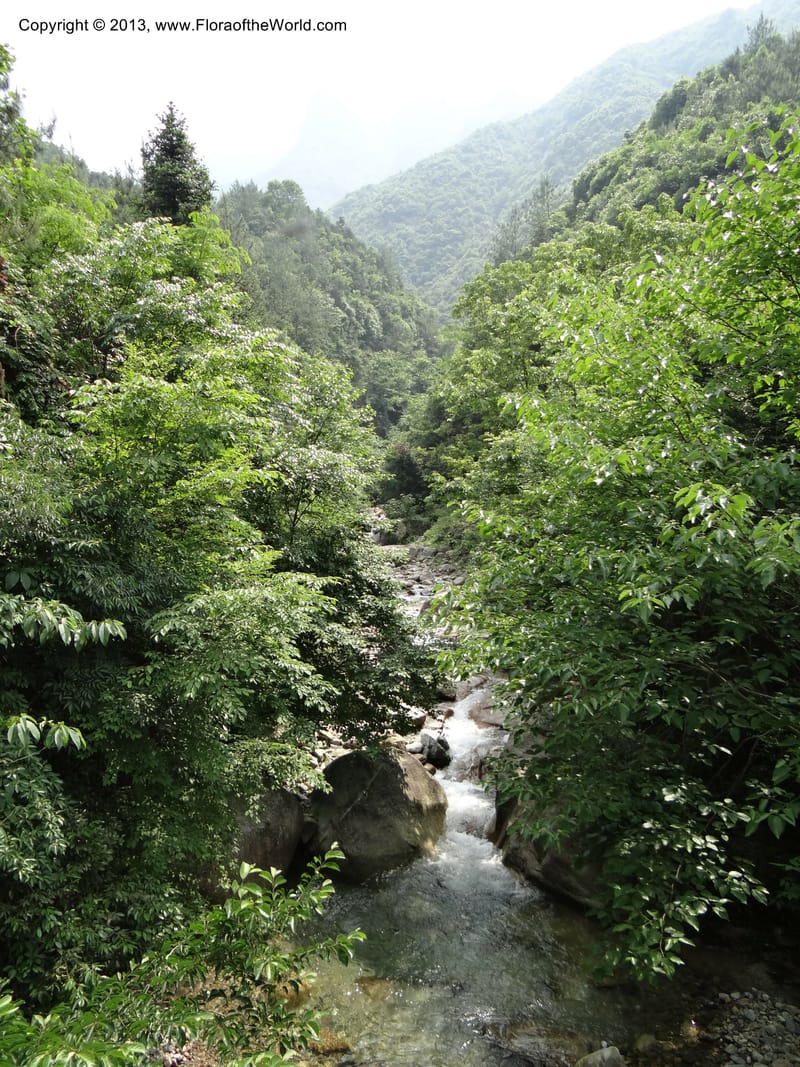 China. Zhejiang Prov. Shunxi Village. 28 May 2012. DSC00347 (274).JPG