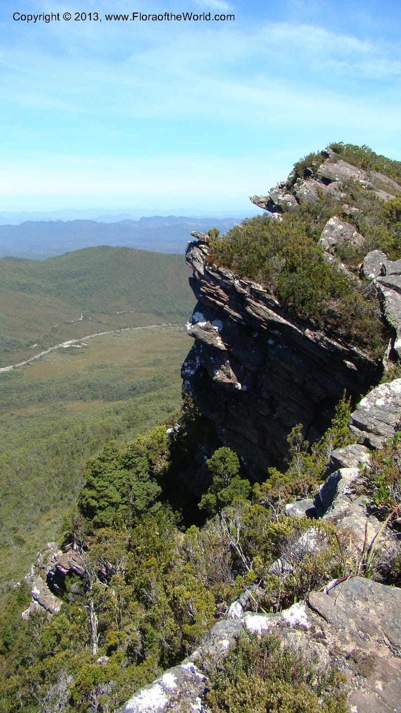 Tasmania. Tim Shea. 30 Jan 2010. 125.jpg