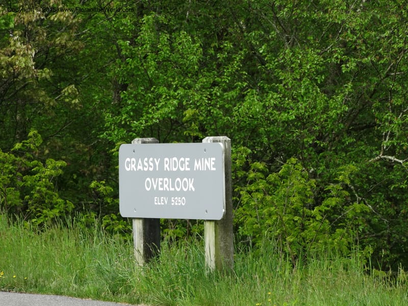 North Carolina. Haywood Co. Grassy Ridge Mine Overlook. 21 May 2015. DSC06988 (1).JPG