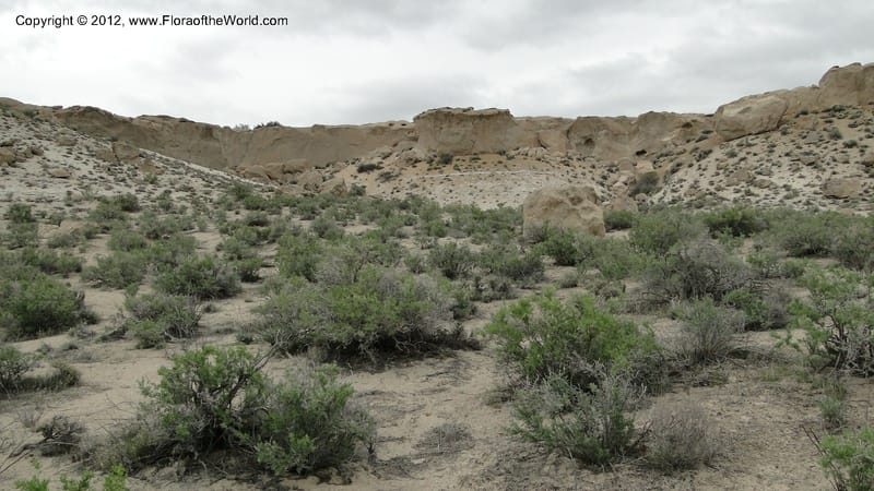 Idaho. 22 April 2010 142.jpg