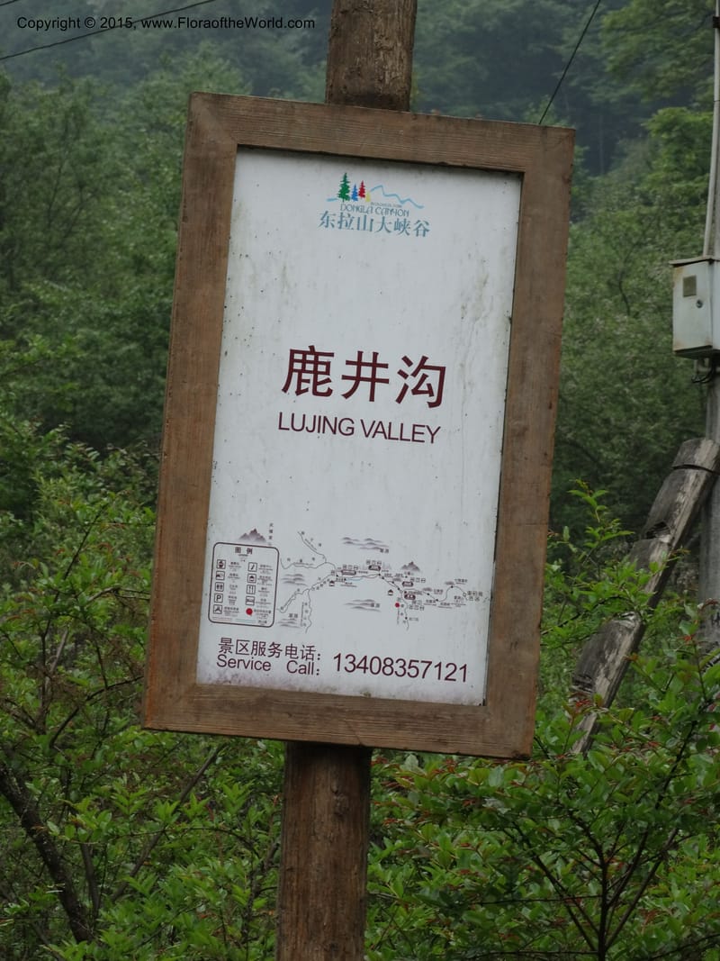 China. Sichuan. LuJing Valley. XiHe Stream. 13 May 2014. DSC06236 (52).JPG