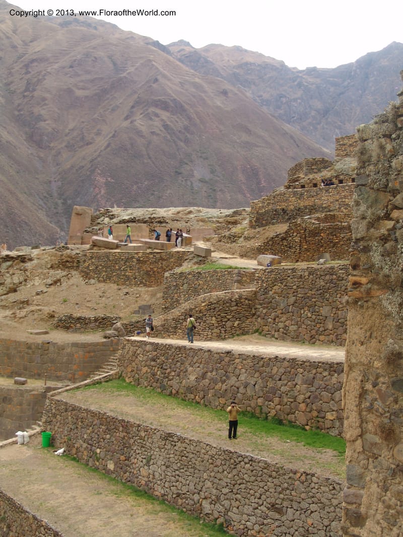 Peru. Ollantaytambo. 22 Oct 07. 016.jpg