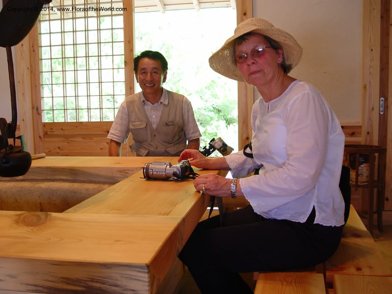 Japan. Toyota. Foresta Hills. CD16 Jul 03. 052.jpg