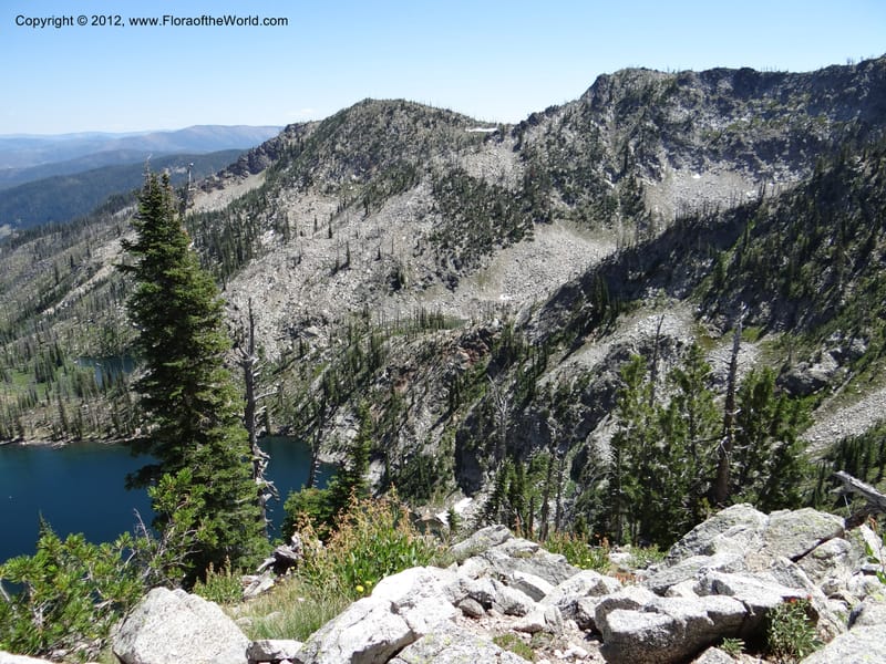 ID. Idaho Co. Josephine Lake. 1 Aug 2012. DSC03965 (82).JPG