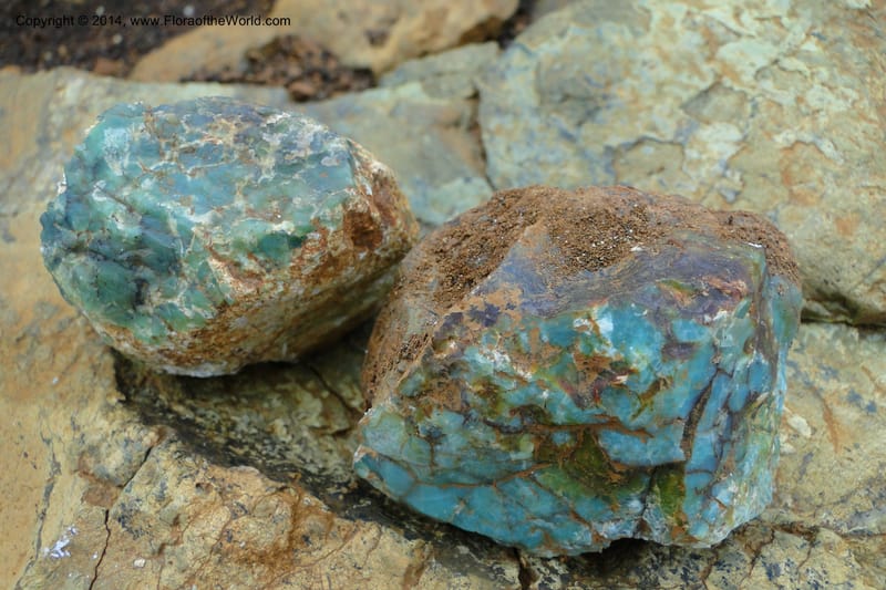 New Caledonia. Mine St. Louis Boulinda. 18 Feb 2011. 175.jpg