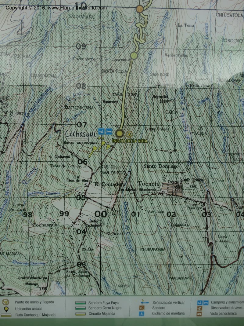 Ecuador. Mojanda. 22 Apr 2015. DSC02267 (111).JPG