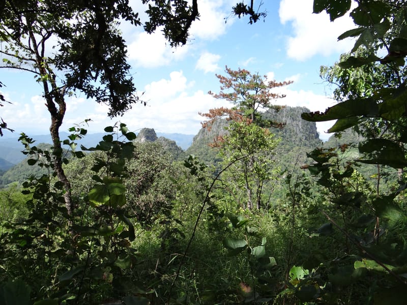 Thailand. Chiang Mai Prov. Doi Chiang Dao Wildl. Sanctuary. 11 Nov 2012. DSC08648 (105).JPG