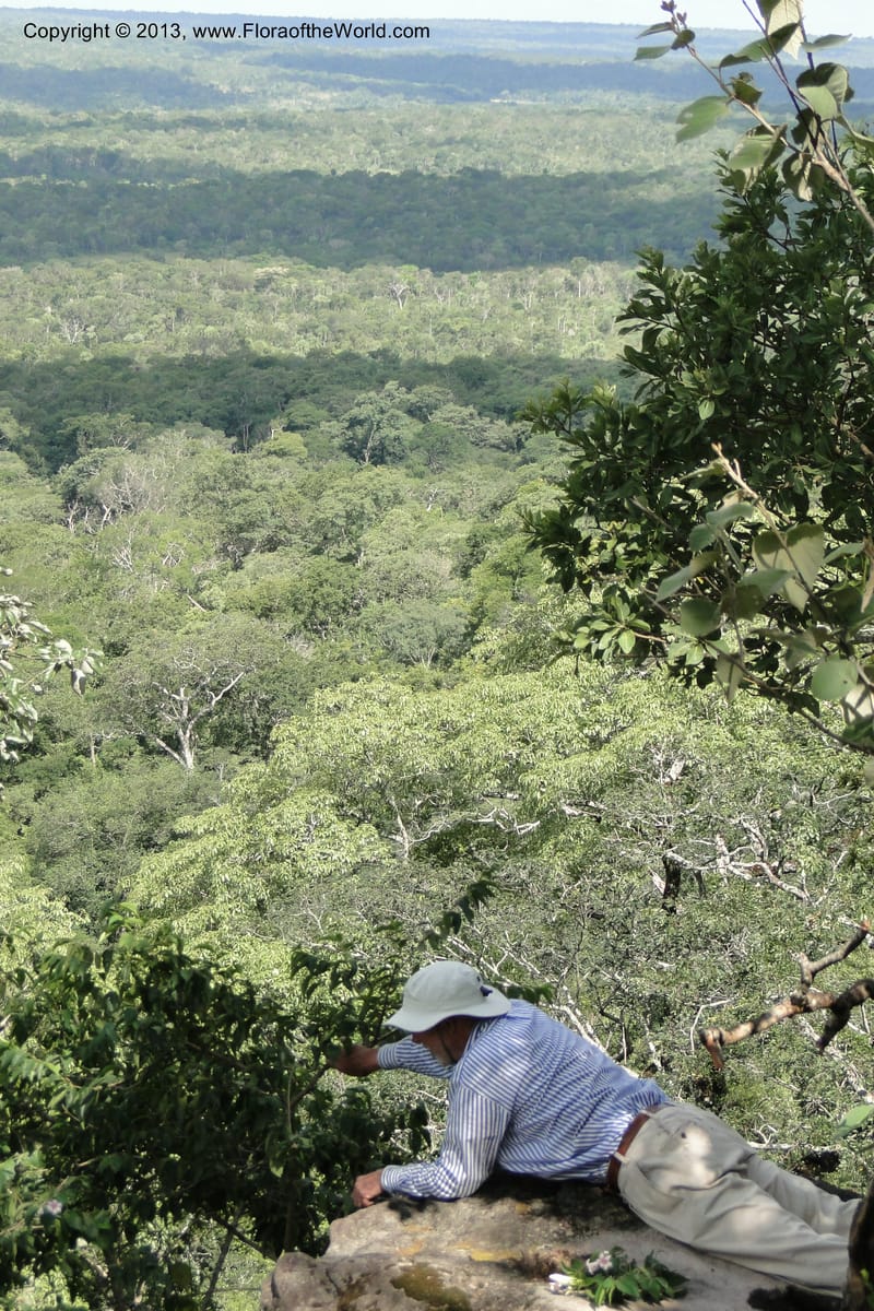 Paraguay. Edo. Concepcion. Garay Cue. 19 Mar 2011. 545.jpg