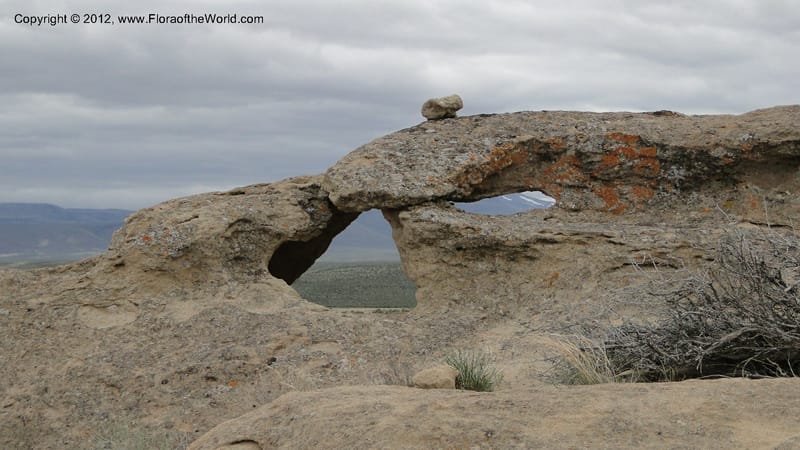 Idaho. 22 April 2010 091.jpg