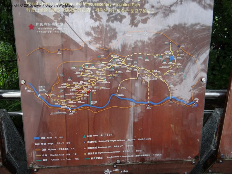 China. Anhui Prov. Qiyun Shan. 7 Jun 2012. DSC01929 (47).JPG