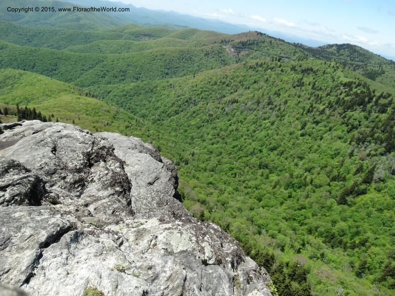 North Carolina. Trans. Co. Devils Courthhouse. 21 May 2015. DSC07059 (8).JPG