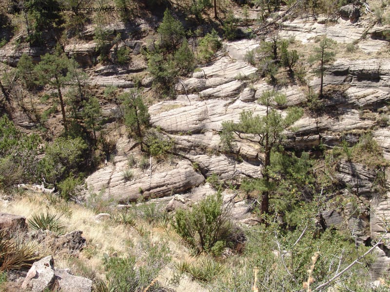 AZ. Coconino Co. Walnut Canyon Nat. Mon. 15 May 06. 114.jpg