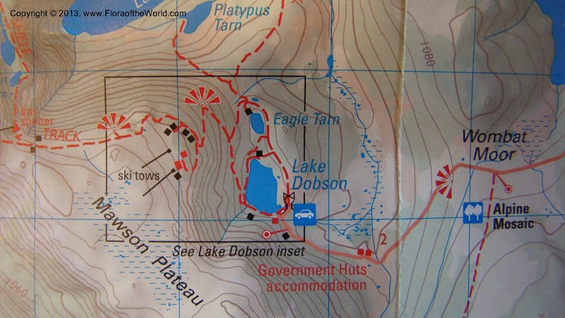 Tasmania. Maps of Mt. Field Nat. Park. Jan 2010. 003.jpg