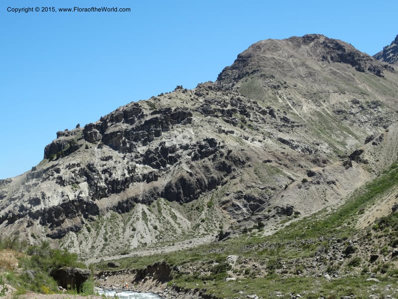 Chile. Ruta 115, to Laguna del Maule. 24 Nov 2014. DSC07486 (279).JPG