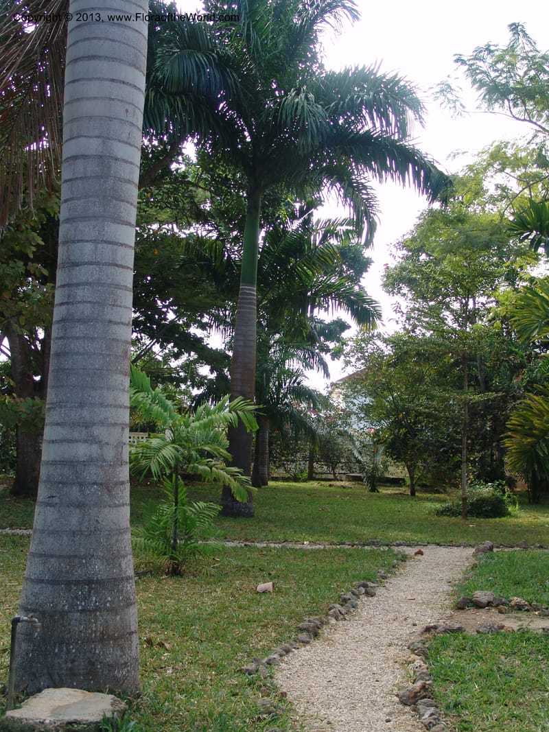 Tanzania. Zanzibar. Protea Hotel+Mbweni Ruins. 17 Jul 04. 024.jpg