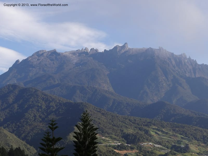 Mt. Kinabalu from Kg. Kundassong. 5 April 2012. DSC06757 (6).JPG
