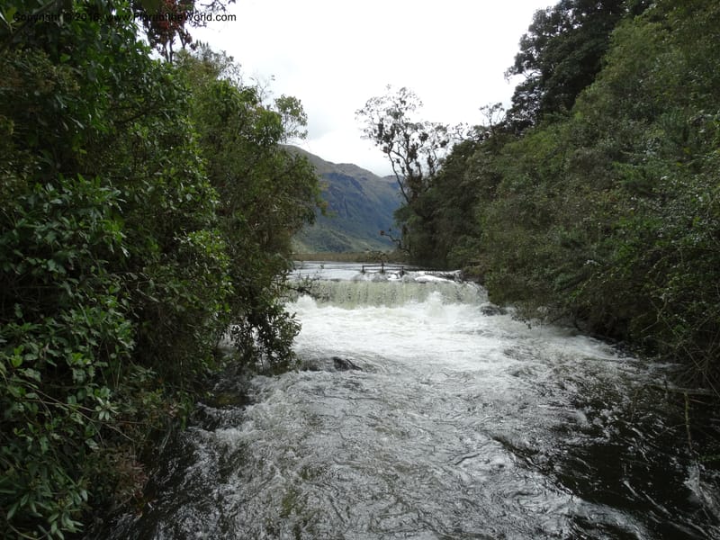 Ecuador. P. N. Cajas. 27 Apr 2015. DSC03385 (55).JPG