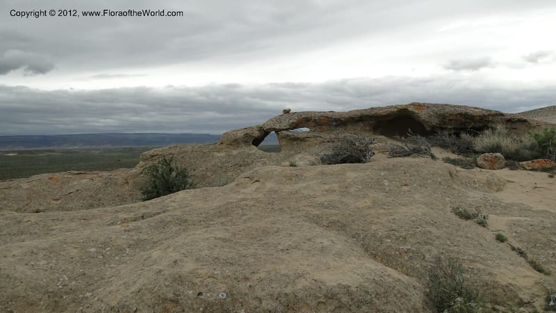 Idaho. 22 April 2010 090.jpg