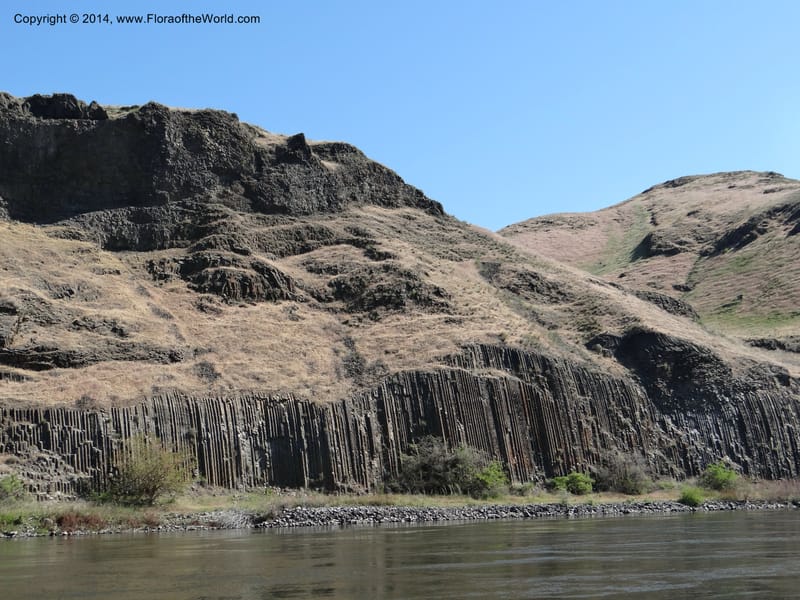 Snake River. Clarkston to China Garden Cr. 6 May 2013. DSC03333 (2).JPG