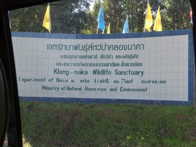 Thailand. Ranong Prov. Klong Naka Wildlife Sanctuary. 14 Nov 2012. DSC09055 (1).JPG