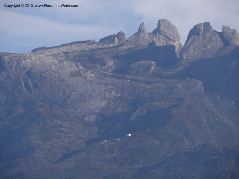 Mt. Kinabalu from Kg. Kundassong. 5 April 2012. DSC06757 (7).JPG