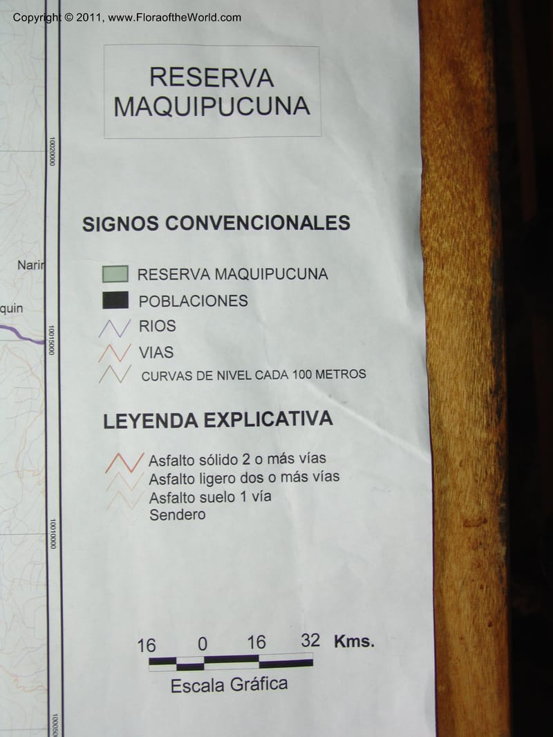 Ecuador. Maquipucuna Biol. Res.  14 Mar 06. 026.jpg