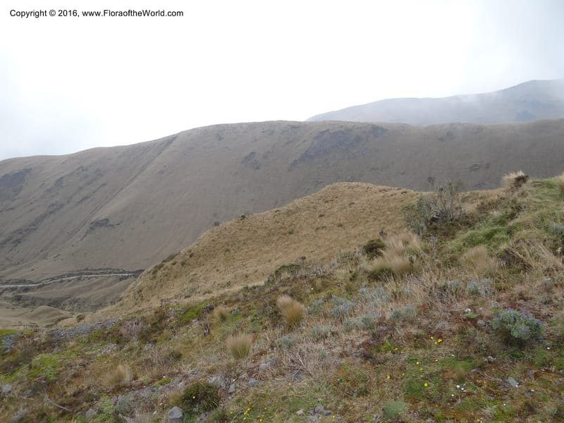 Views of Cotacachi Cayapas and Laguna Cuicocha. 4 Oct 2012. DSC06697 (4).JPG