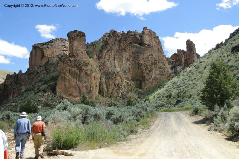 Oregon. Malheur Co. Leslie Gulch. 30 June 2011. 213.jpg