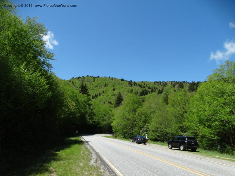 North Carolina. Trans. Co. Devils Courthhouse. 21 May 2015. DSC07059 (1).JPG
