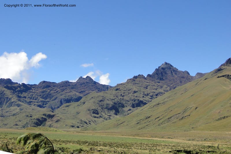 Ecuador. P. N. Sangay. 6 June 2011. 004.jpg